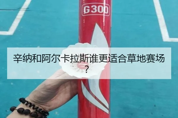 辛纳和阿尔卡拉斯谁更适合草地赛场？